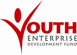 Youth Enterprise Development Fund (YEDF)